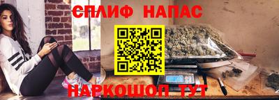СК Дубна