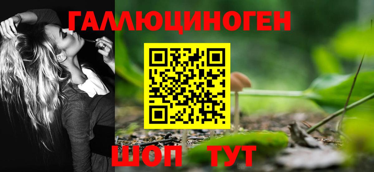 Псилоцибиновые грибы GOLDEN TEACHER  Вход с VPN  Котельники  Псилоцибиновые грибы MAGIC MUSHROOMS 